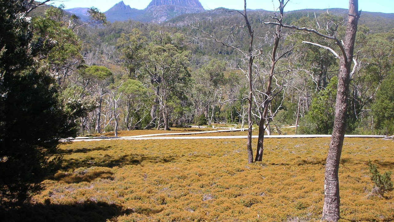 Photo of Outdoor in Cradle Mountain