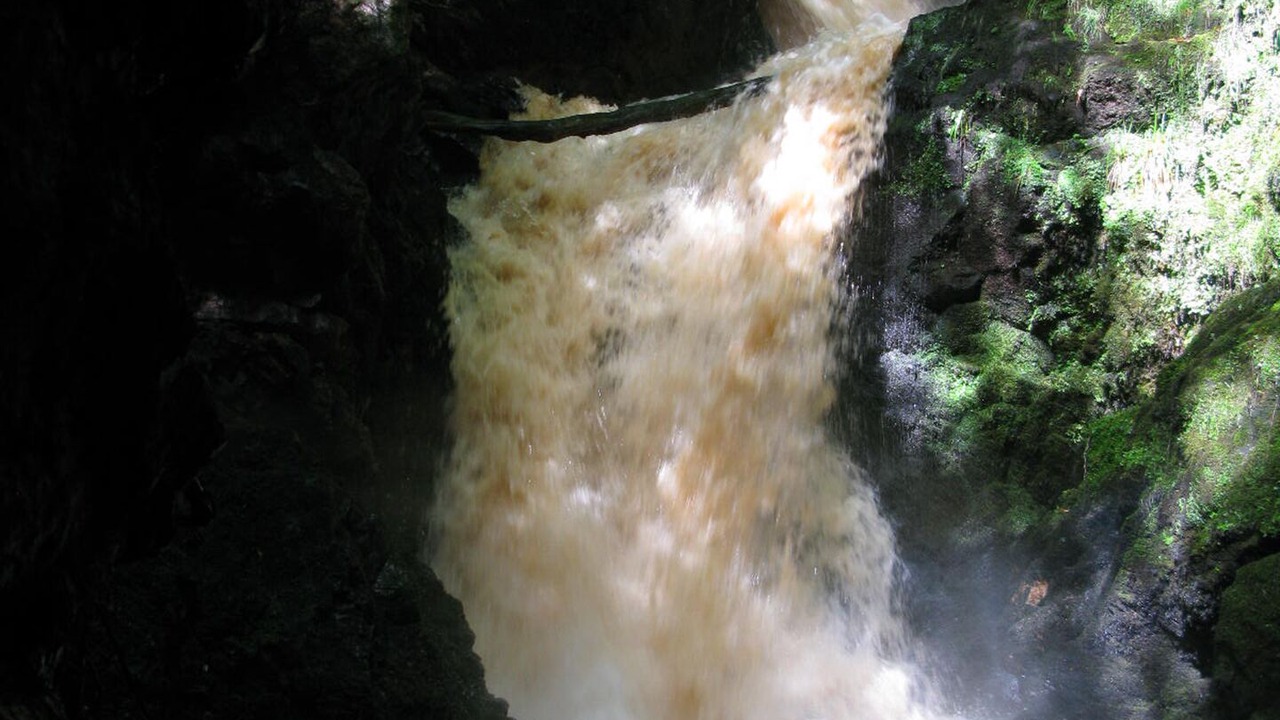 Photo of Others in Golspie