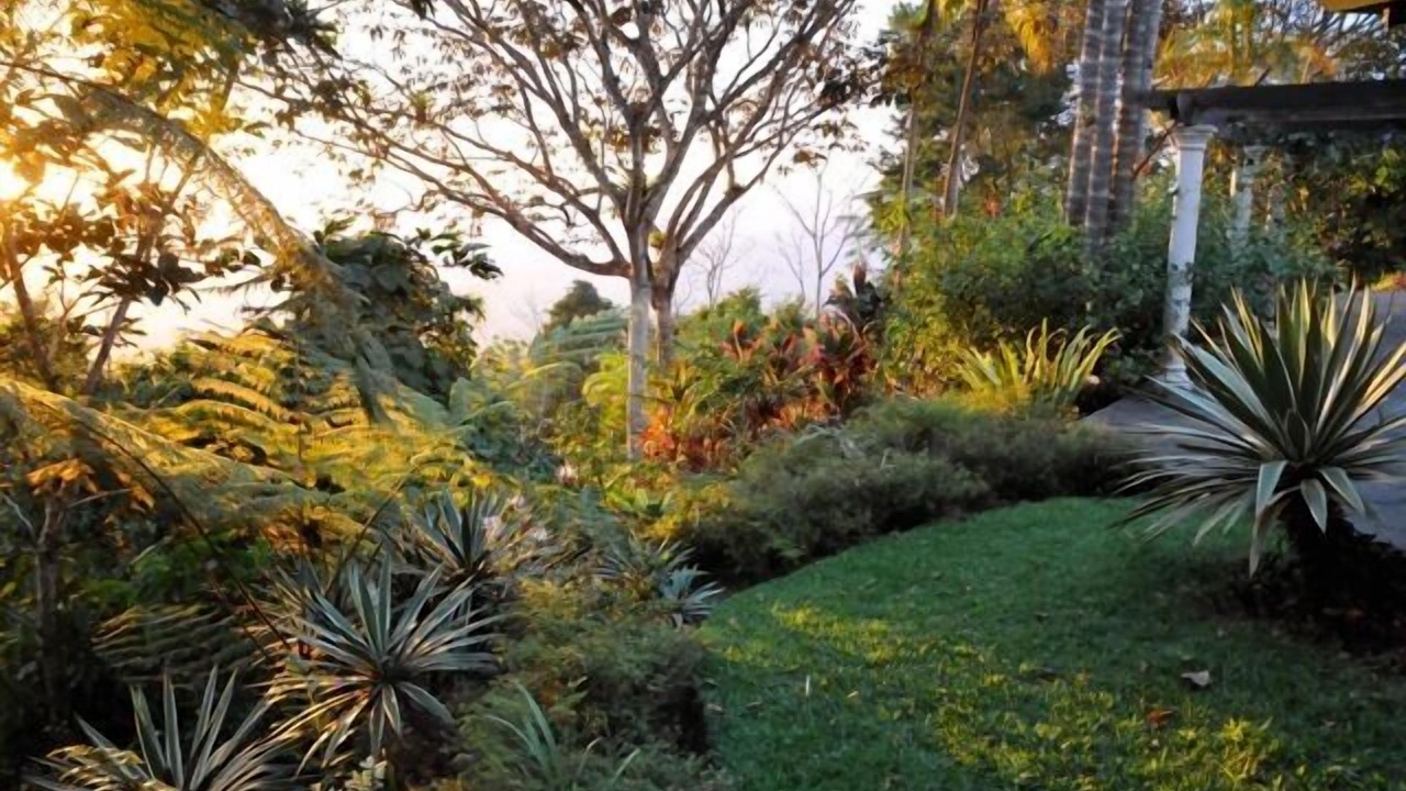 Photo of Outdoor in Dominical