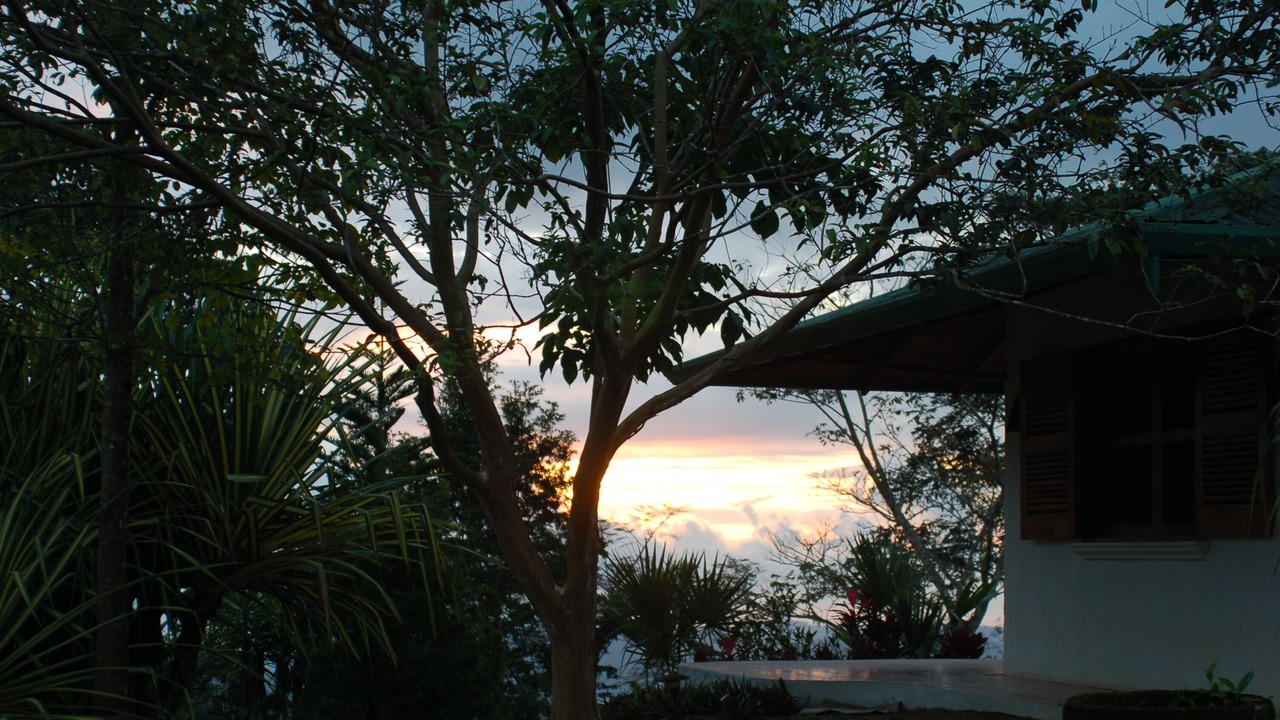 Photo of Outdoor in Dominical