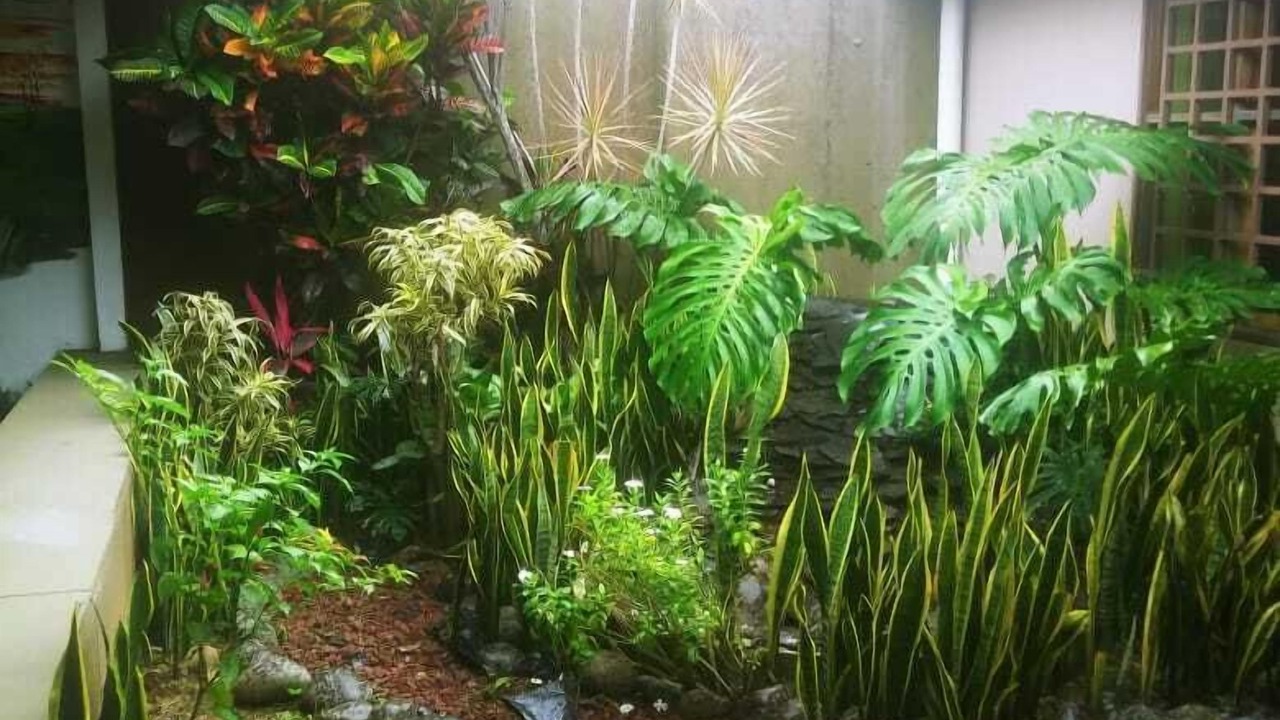 Photo of Outdoor in San Antonio de Belen