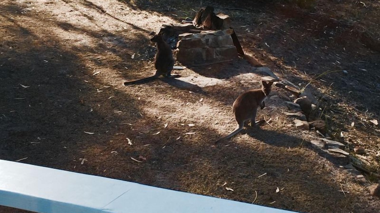 Photo of Others in Adventure Bay