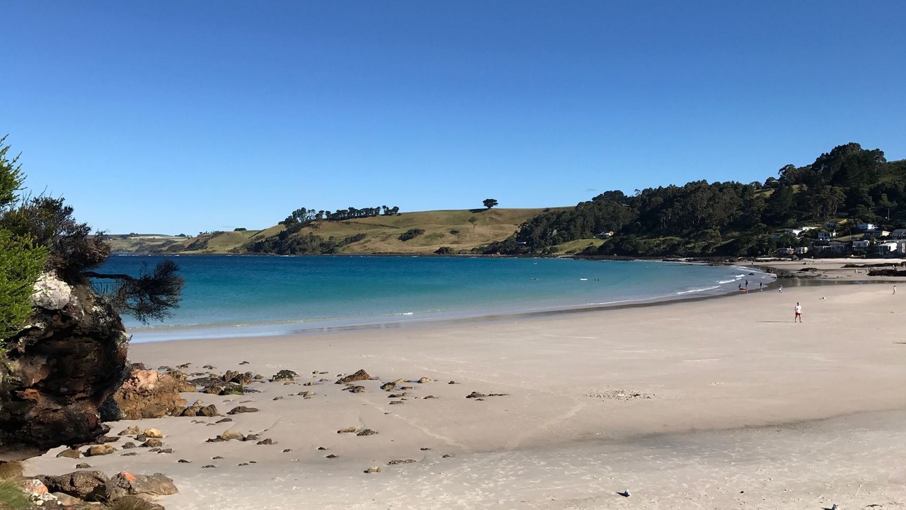 Photo of Others in Boat Harbour Beach