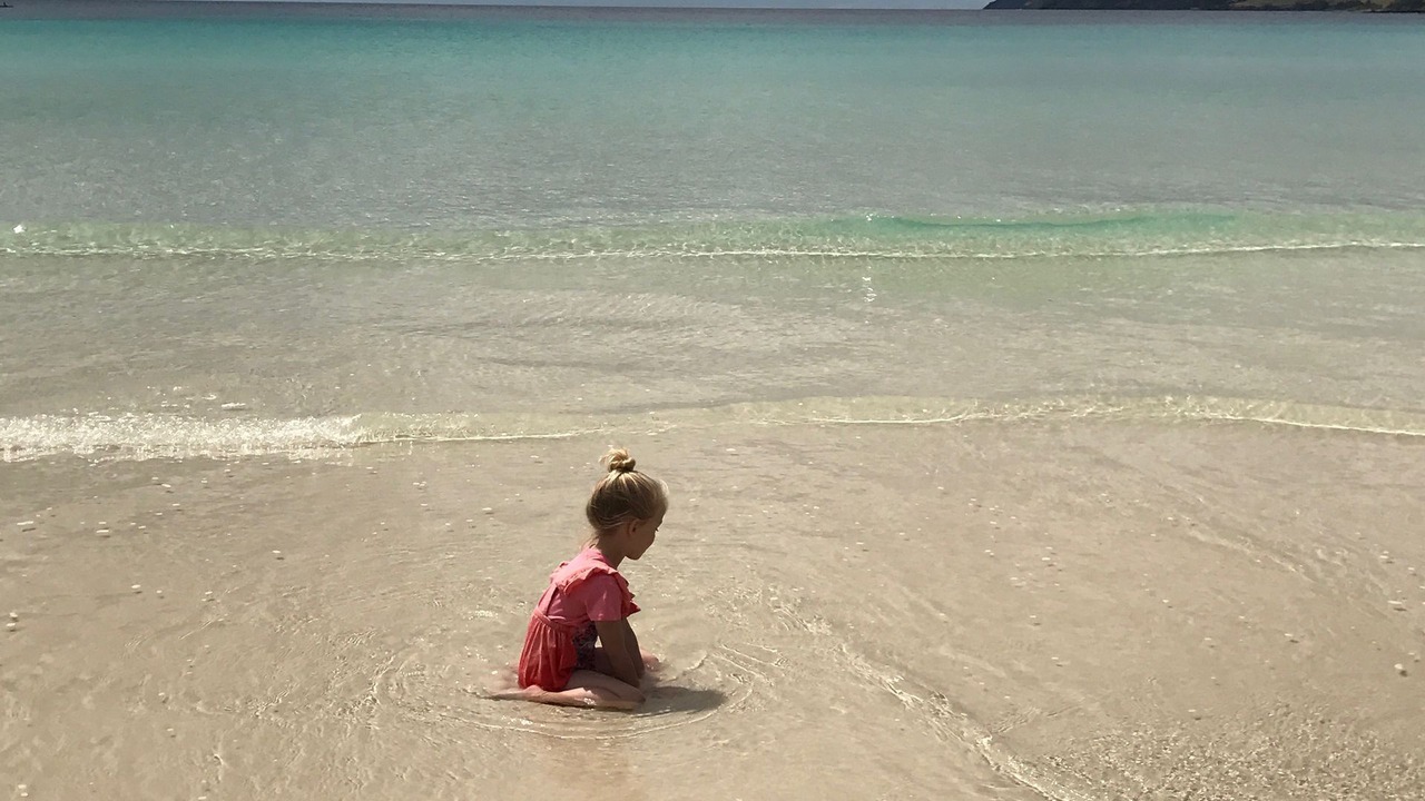 Photo of Others in Boat Harbour Beach