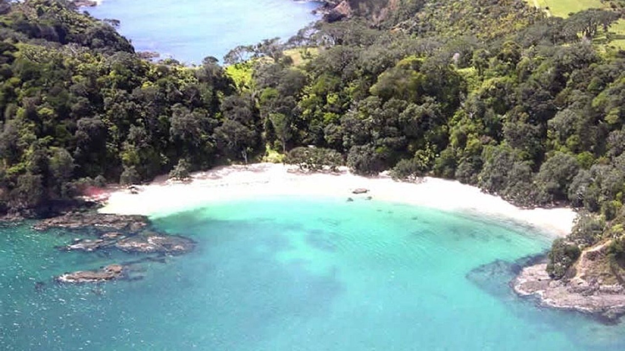 Photo of Others in Matapouri