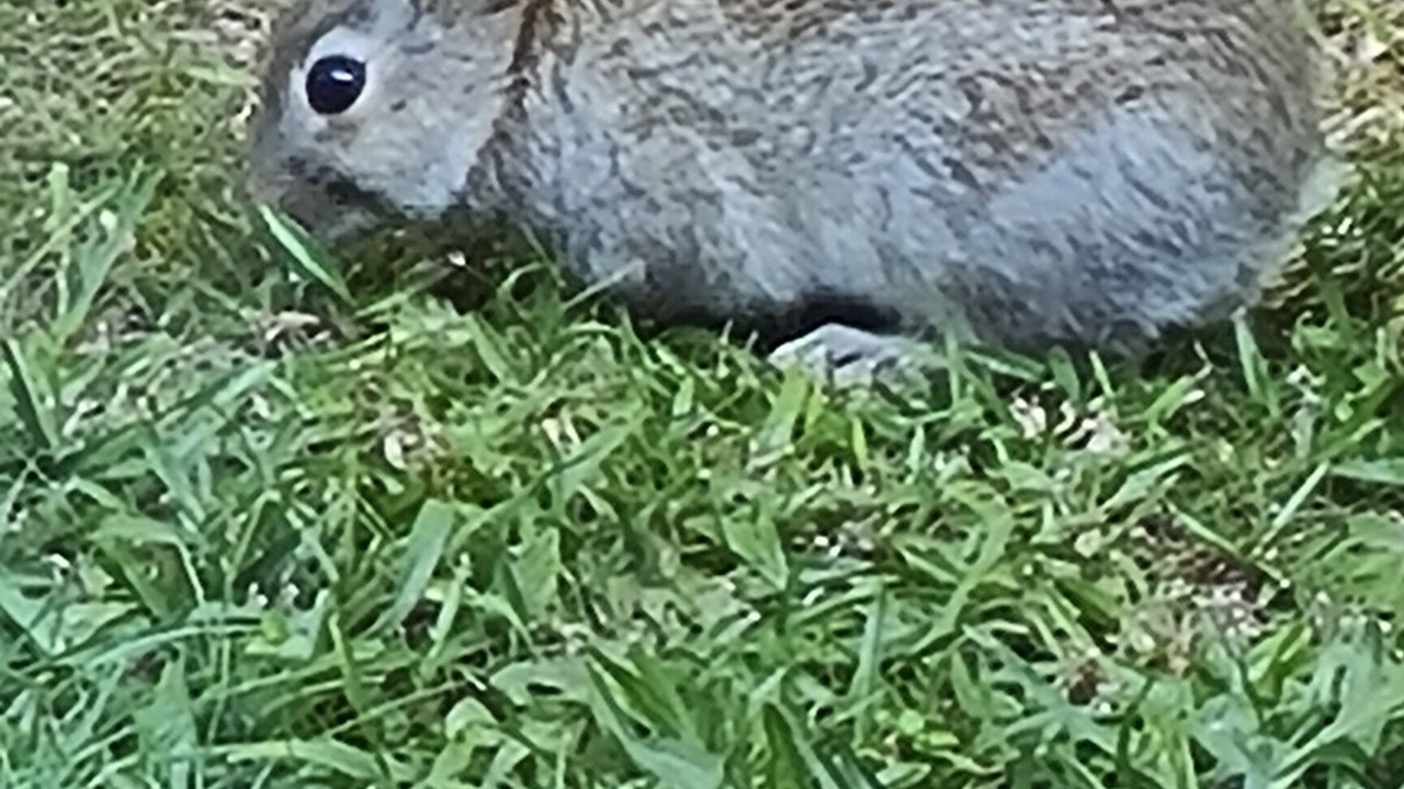 Photo of Others in Matapouri