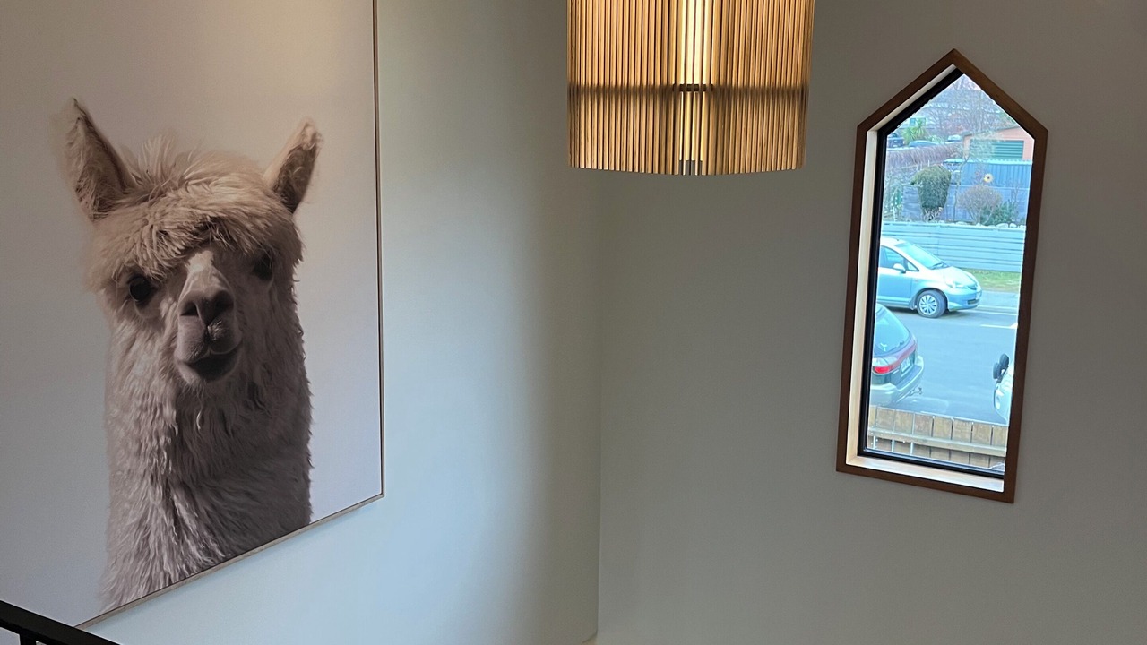 Photo of Others in Wanaka