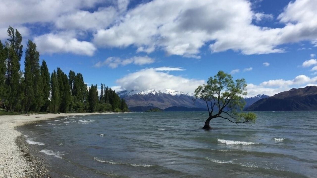 Photo of Others in Wanaka