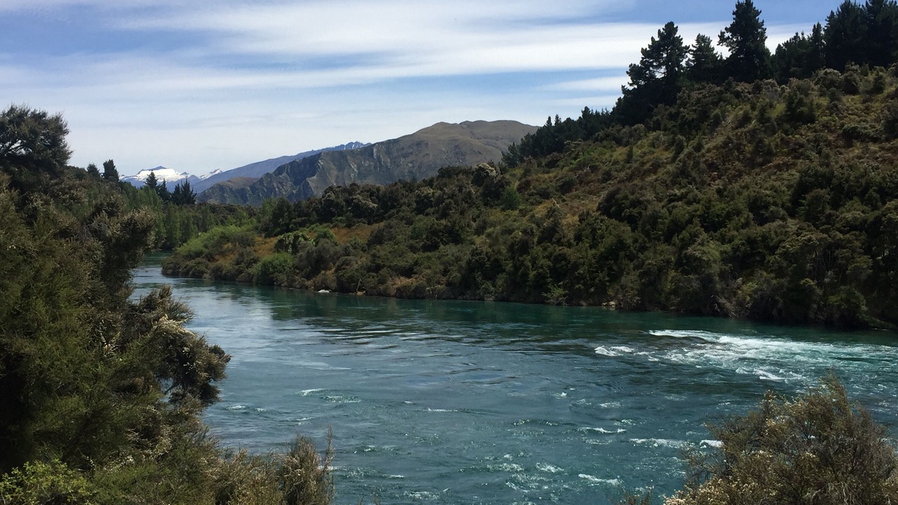 Photo of Others in Wanaka