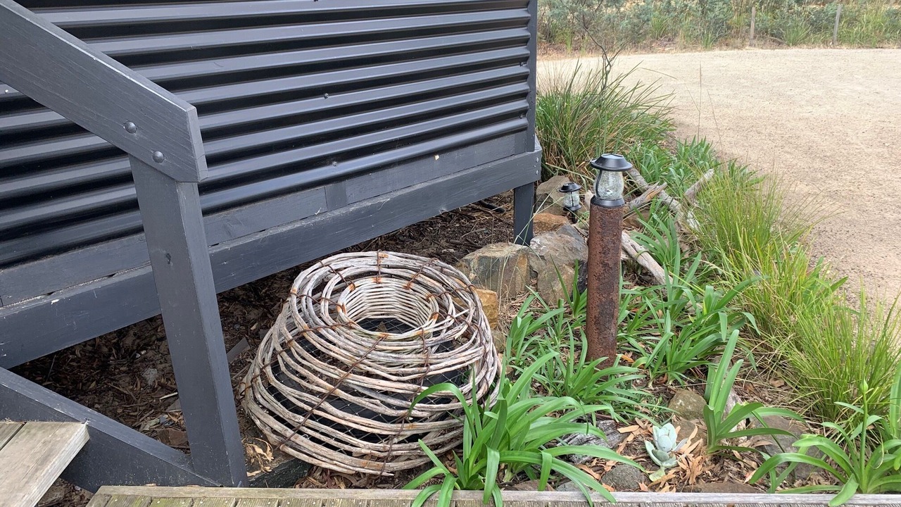 Photo of Outdoor in Dolphin Sands