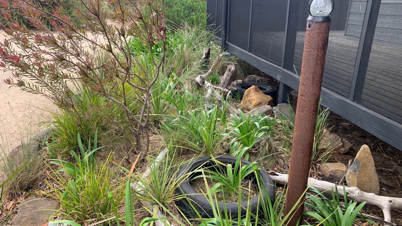 Photo of Outdoor in Dolphin Sands