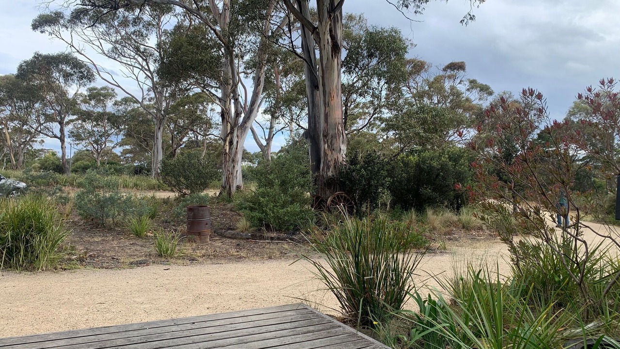 Photo of Outdoor in Dolphin Sands