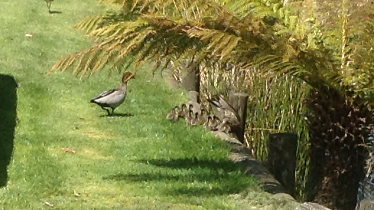 Photo of Outdoor in Ulverstone