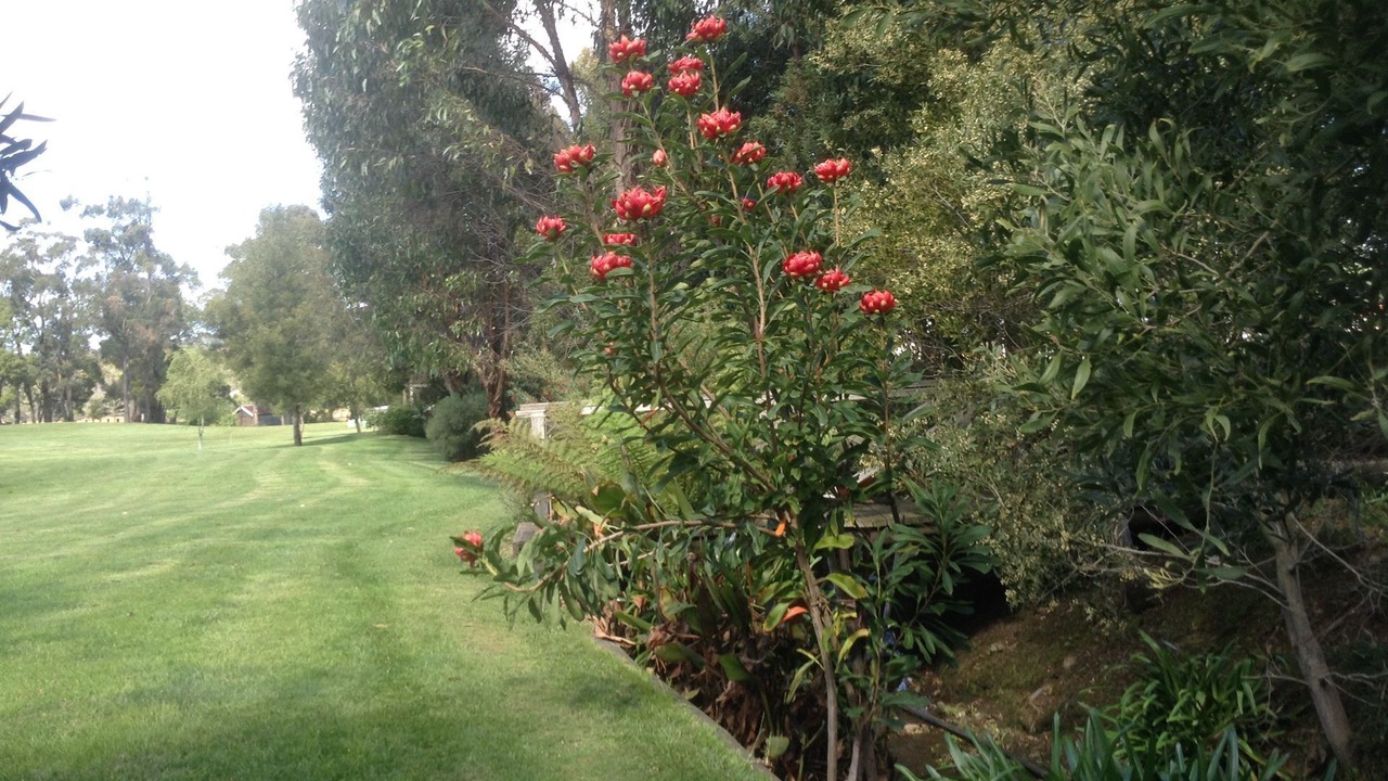 Photo of Outdoor in Ulverstone