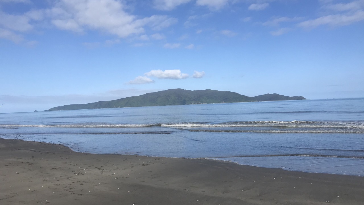 Photo of Others in Waikanae