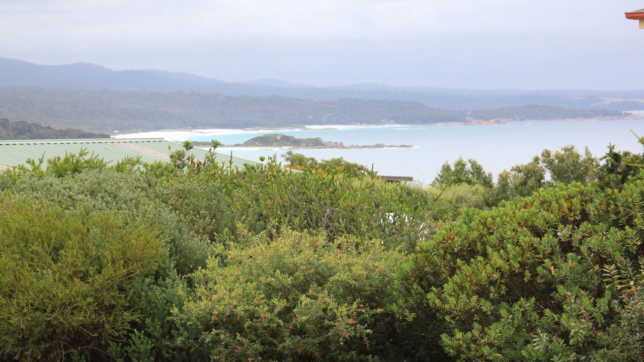 Photo of Others in Binalong Bay