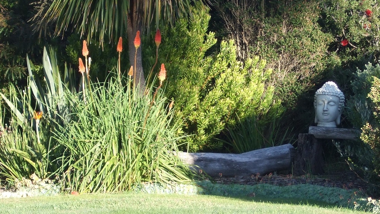 Photo of Outdoor in Binalong Bay