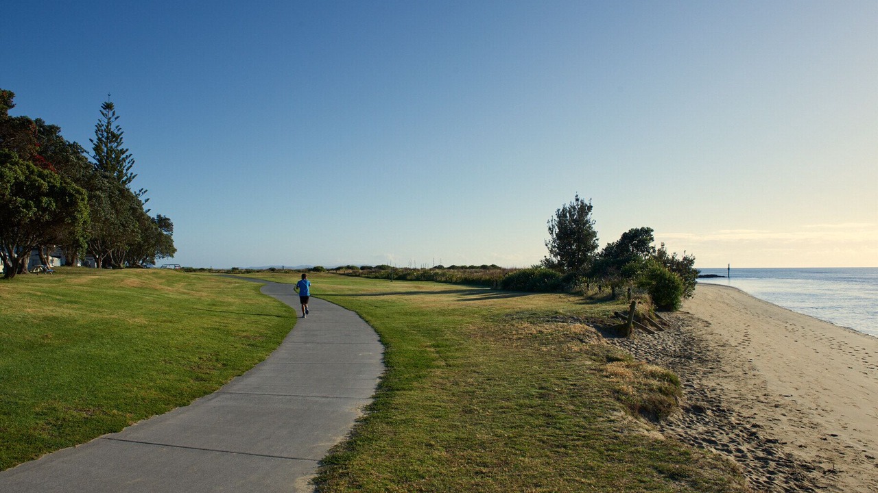 Photo of Others in Orewa