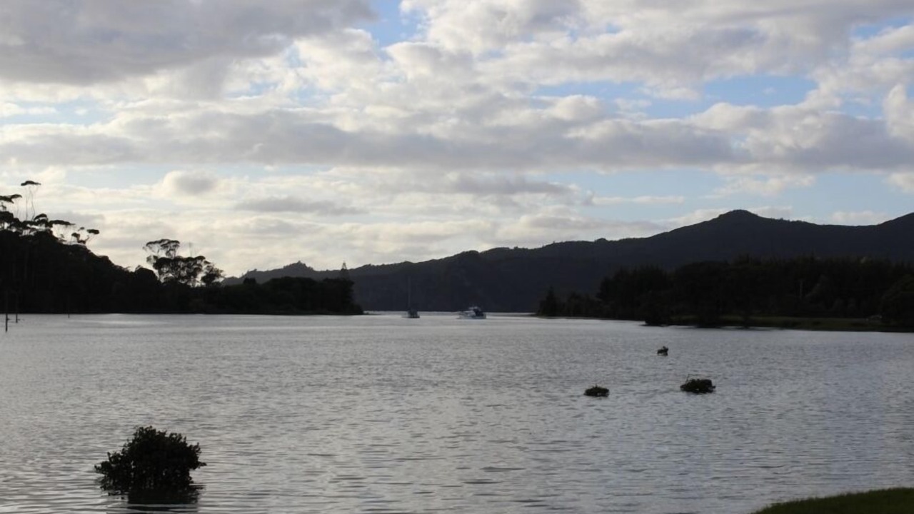 Photo of Others in Kennedy Bay