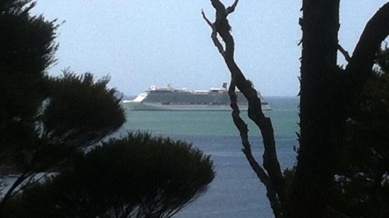 Photo of Others in Paihia