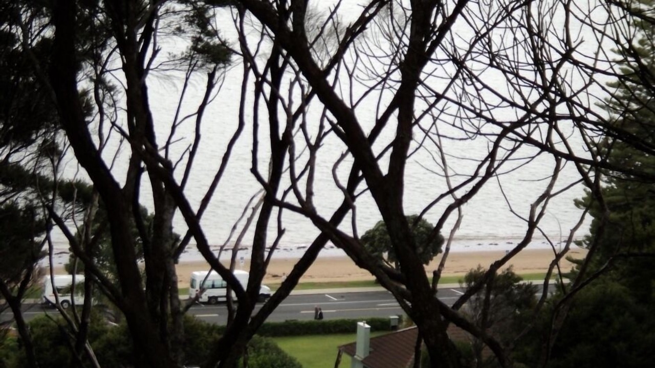 Photo of Others in Paihia