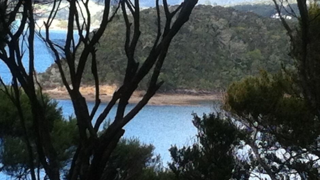 Photo of Others in Paihia