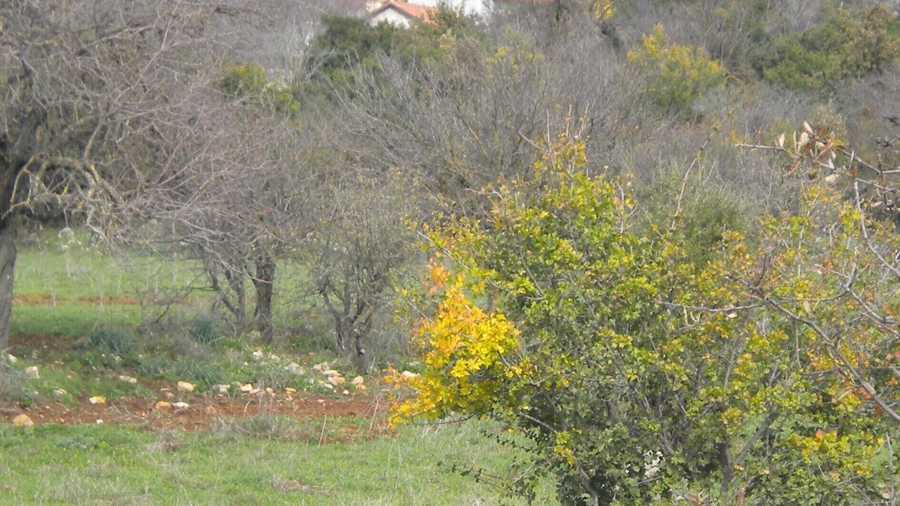 Photo of Outdoor in Fokiano