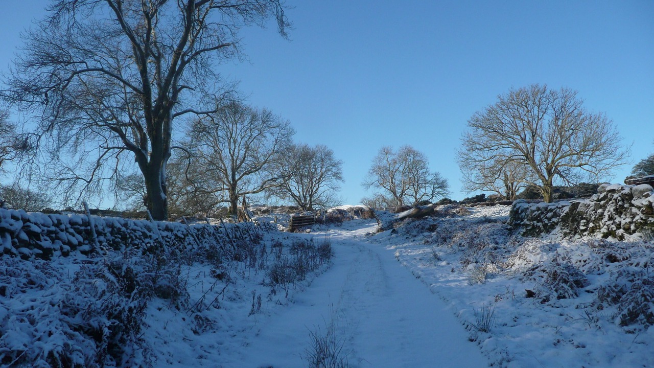 Photo of Others in Gatehouse-of-Fleet