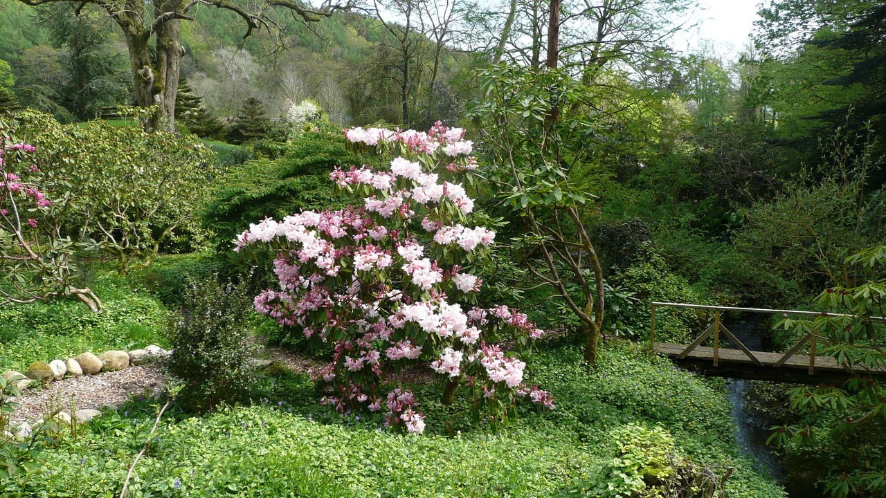 Photo of Outdoor in Gatehouse-of-Fleet