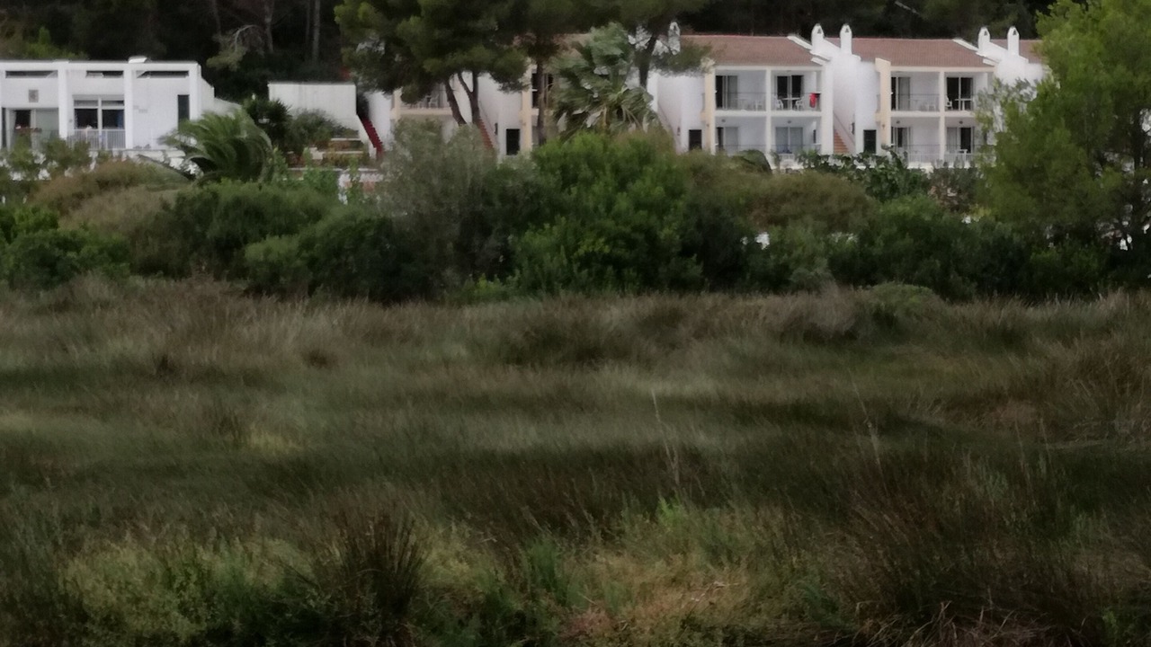 Photo of Outdoor in Serpentona