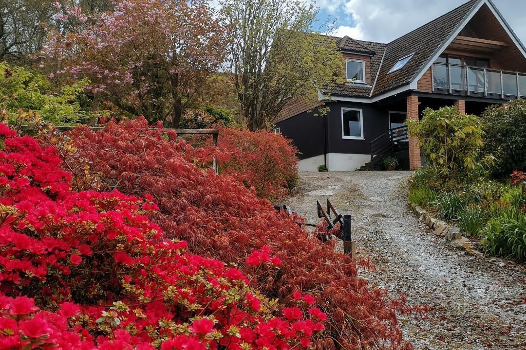 Photo of Outdoor in Cairndow