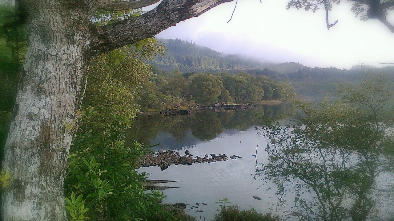 Photo of Others in Dallavich