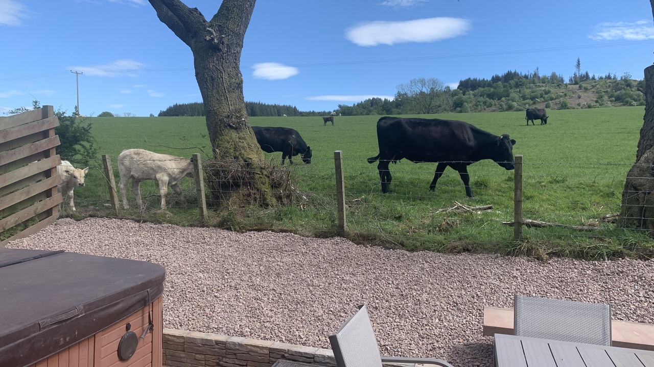 Photo of Others in Dumfries