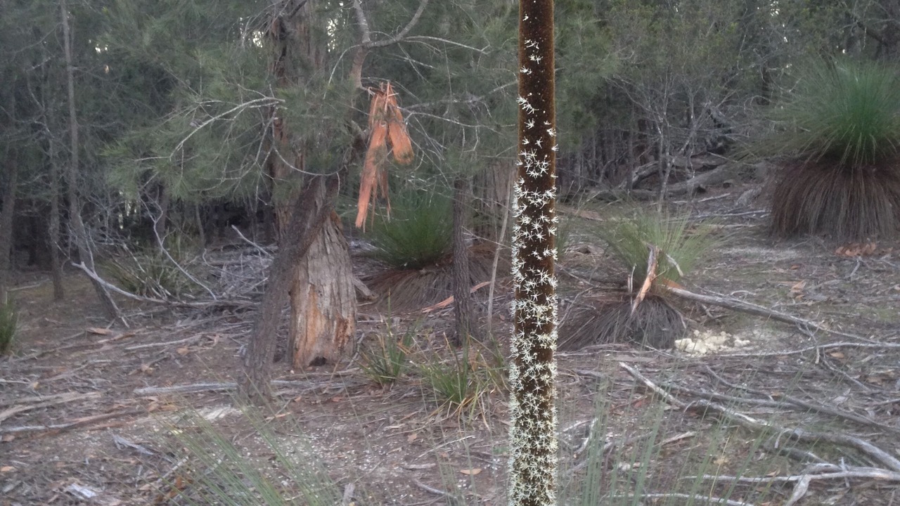 Photo of Others in North Bruny