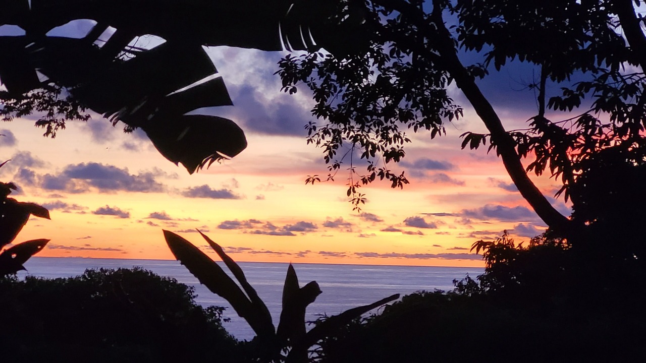 Photo of Others in Dominical