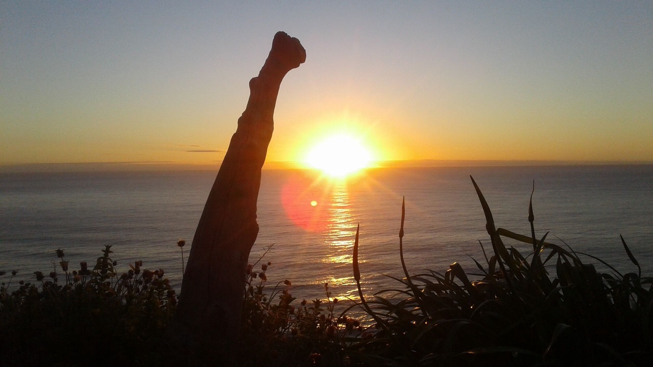 Photo of Others in Gisborne Region
