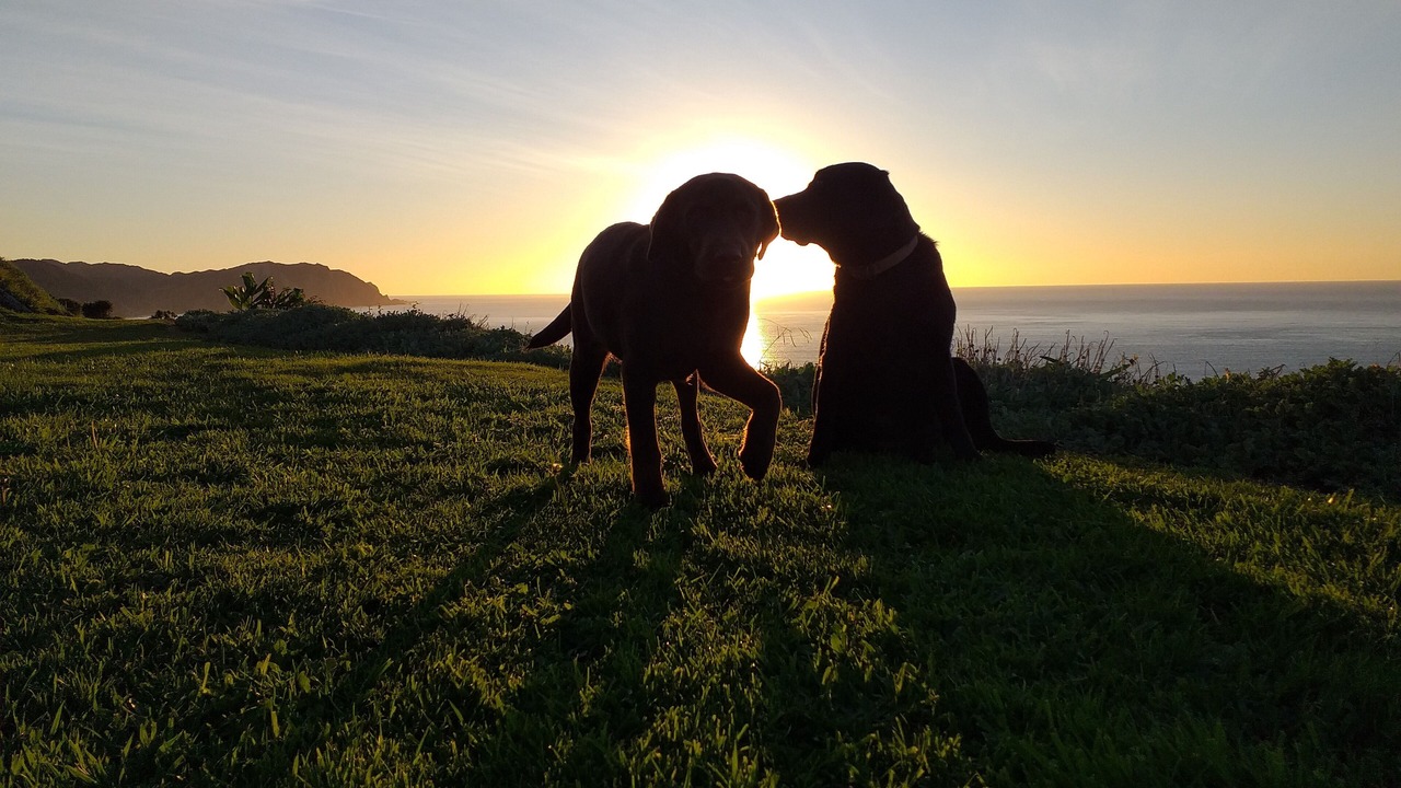 Photo of Others in Gisborne Region