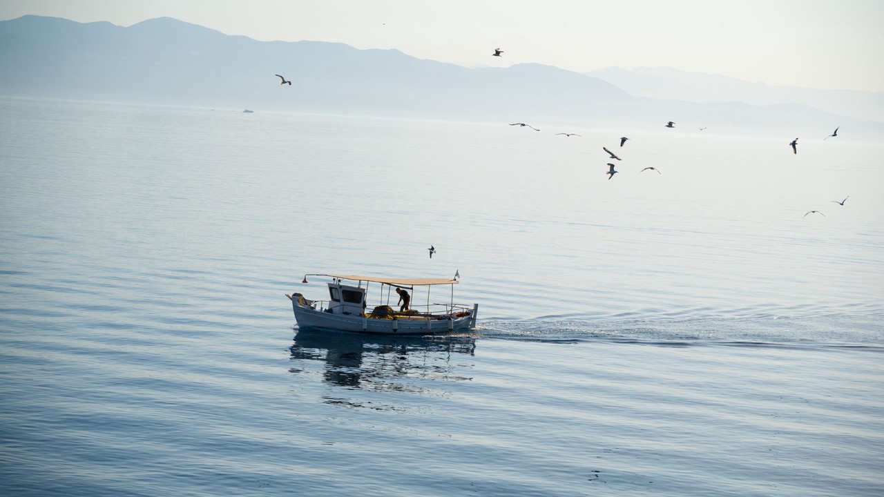 Photo of Others in Gaios
