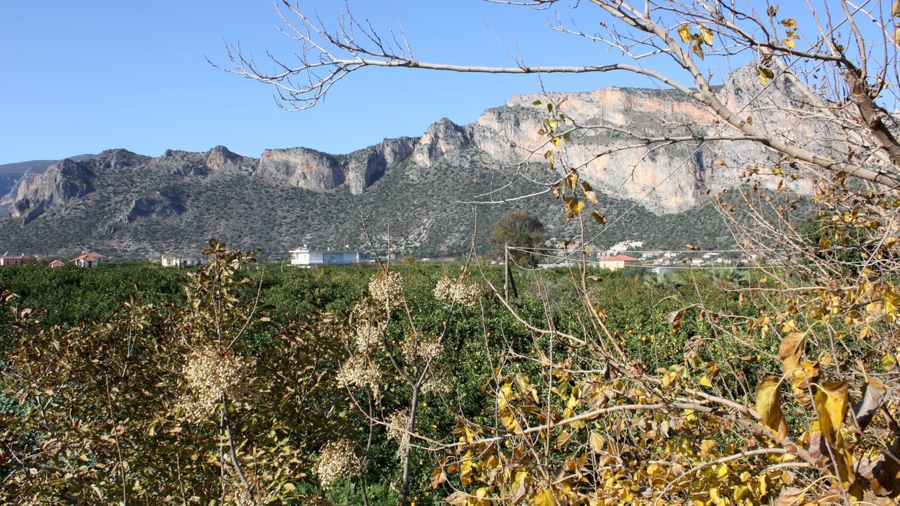 Photo of Others in Leonidio