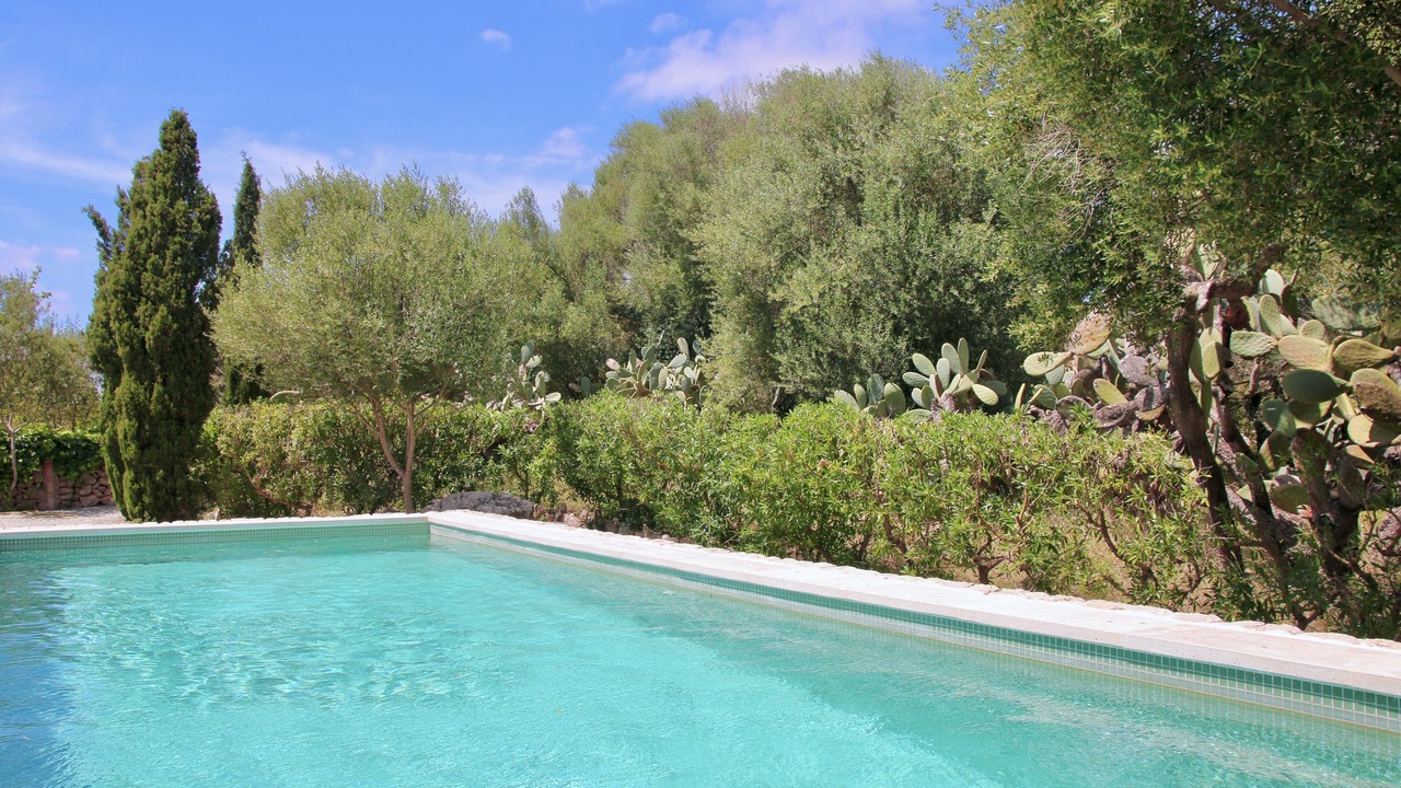 Photo of Outdoor in Manacor