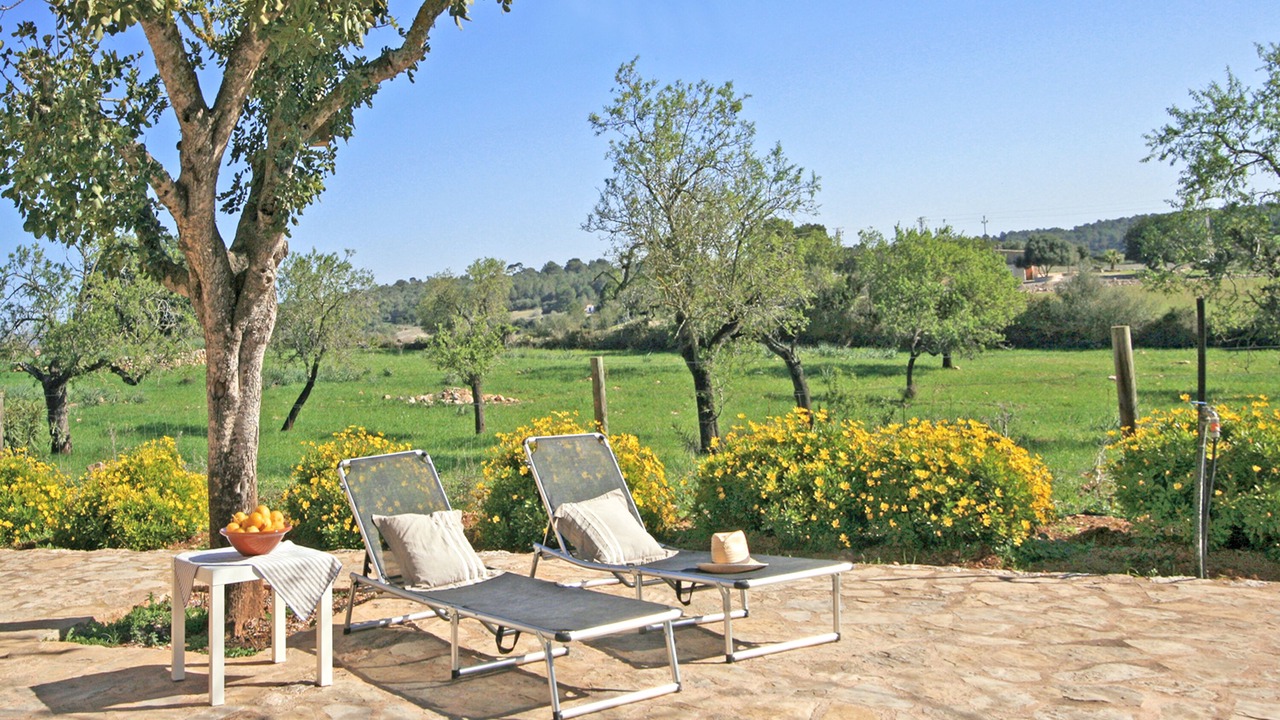 Photo of Patio Balcony in Manacor