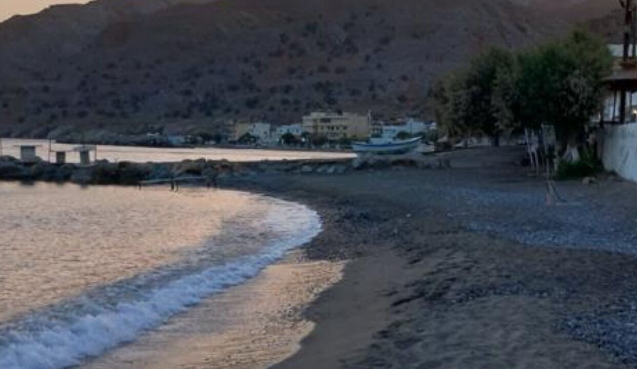 Photo of Others in Minoa Pediada