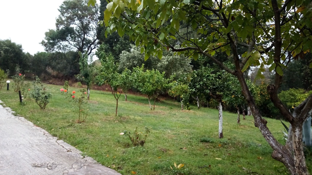 Photo of Others in Nikopolis