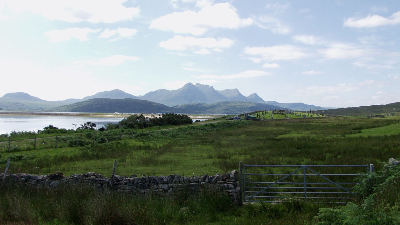 Photo of Others in Talmine