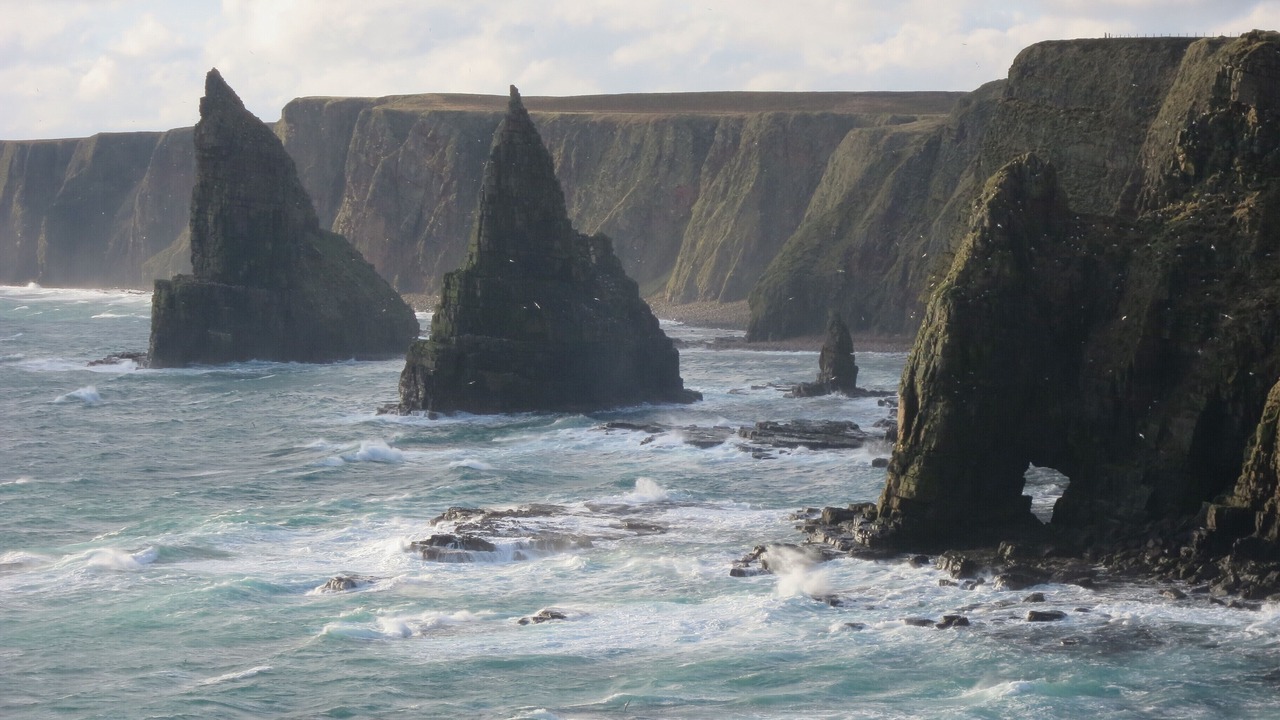 Photo of Others in Talmine