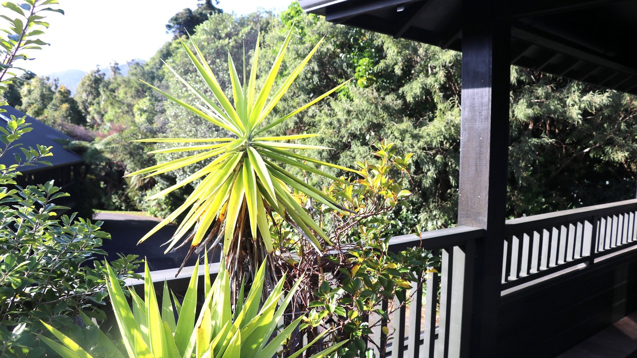 Photo of Outdoor in Waikanae