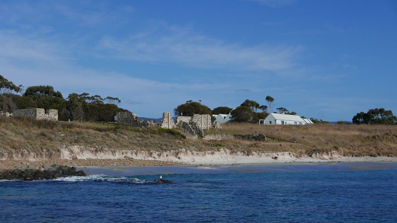 Photo of Others in Little Swanport