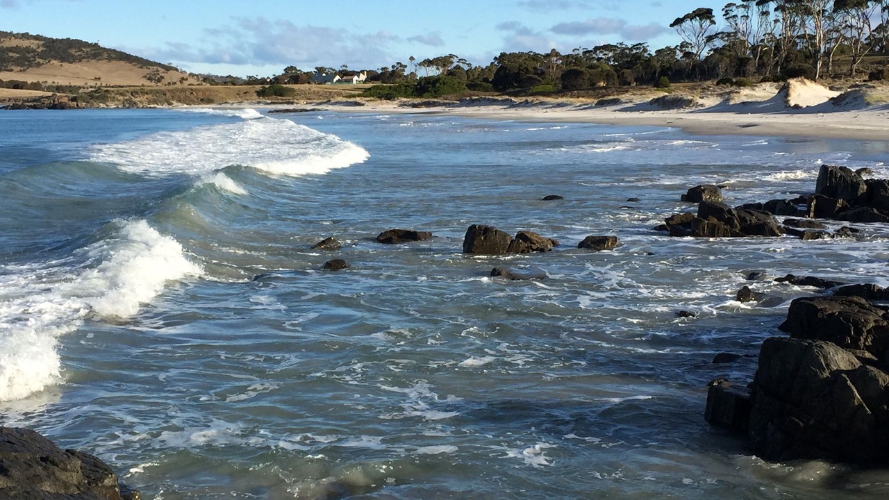Photo of Others in Little Swanport