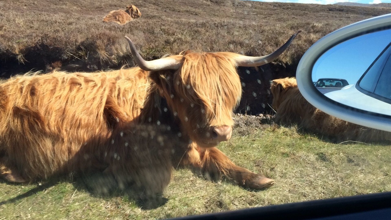Photo of Others in Stonehaven