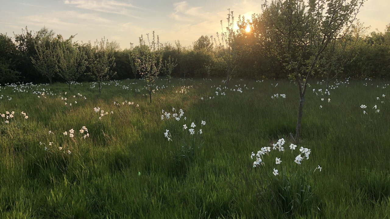 Photo of Outdoor in Duns
